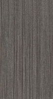 Horizon Black 12 x 24