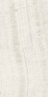 Trilogy Onyx Light Lux 12 x 24
