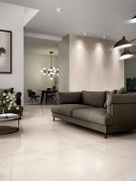 Trilogy Onyx Light Lux 24 x 48