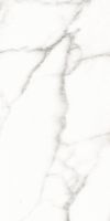 Trilogy Calacatta White Soft 12 x 24