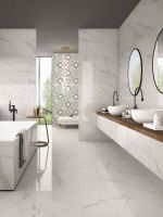 Trilogy Calacatta White Lux 24 x 48