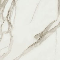 Prestigio Calacatta Soft 48 x 48