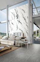 Panda White Polished 24 x 48