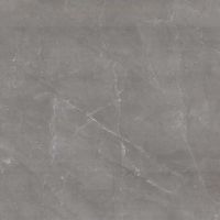 Tekali Gris Polished 24 x 24