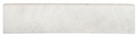 Trilogy Onyx Light Lux Bullnose 3 x 12