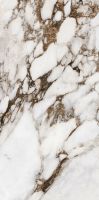 Bijoux Breche Capraia Matte 24 x 48