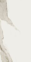 Prestigio Calacatta Lucido 24 x 48