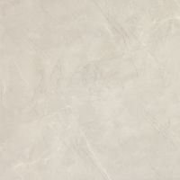 NG Pulpis Prime Light Grey Polished 48 x 48