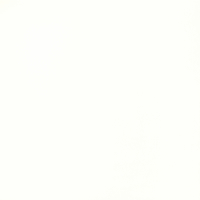 Poland White Polished 32 x 32