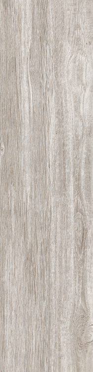 DaVinci 5 12 x 48