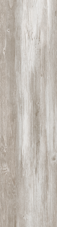 DaVinci 5 12 x 48