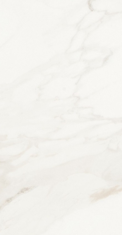 Malaysia Calacatta Levigato 12 x 24