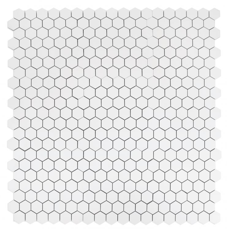 Malaysia Roy White Polished Hexagon 2 x 2 12 x 12