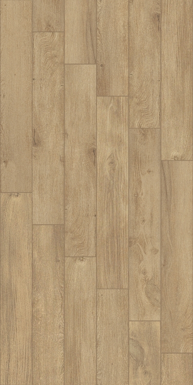 Woodlands Honey 6 x 40