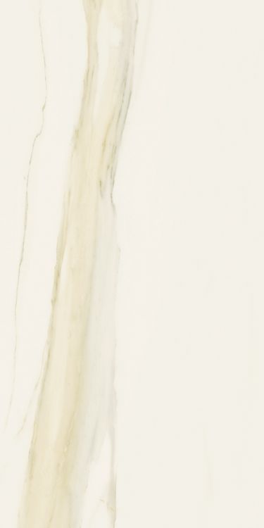 Classici Calacatta Gold Glossy 12 x 24