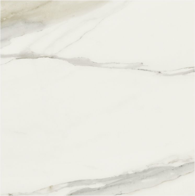 Classici Calacatta Gold Matte 32 x 32