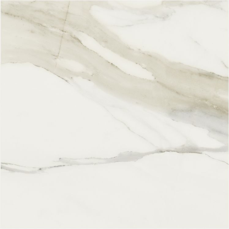 Classici Calacatta Gold Matte 32 x 32