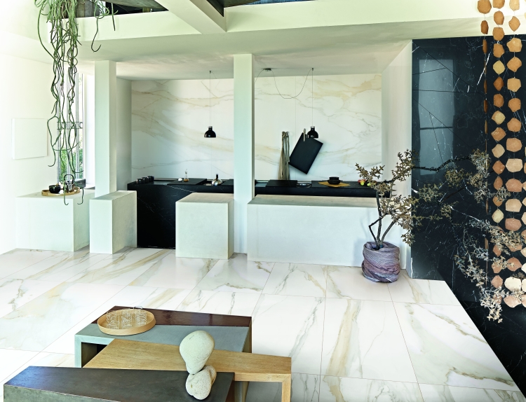 Classici Calacatta Gold Matte 32 x 71