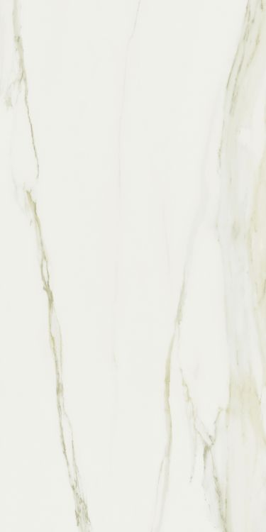 Classici Calacatta Gold Matte 32 x 71