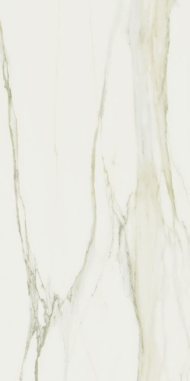 Classici Calacatta Gold Matte 32 x 71