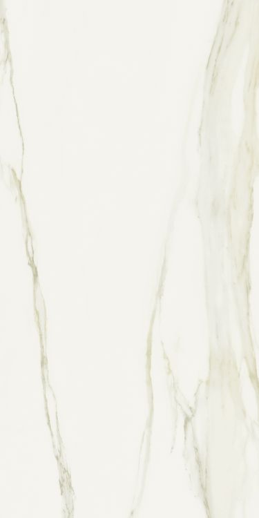 Classici Calacatta Gold Matte 32 x 71