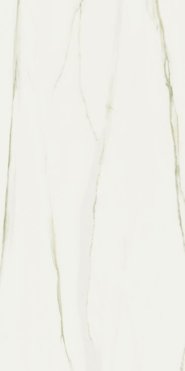 Classici Calacatta Gold Matte 32 x 71