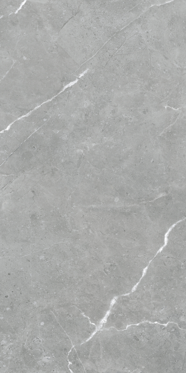 Lava Natural Grey Matte 24 x 48