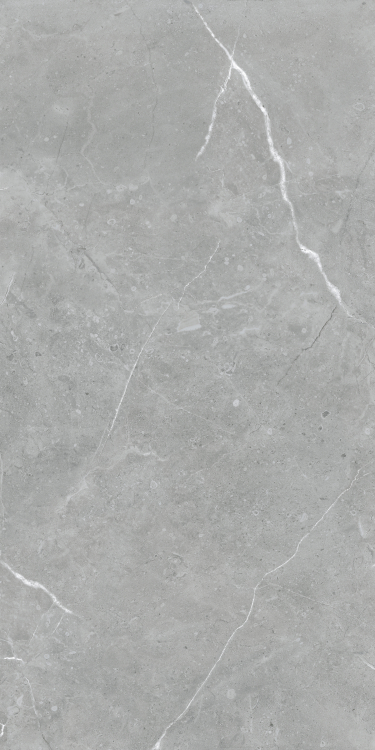 Lava Natural Grey Matte 24 x 48