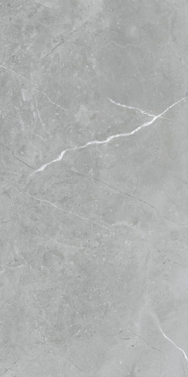 Lava Natural Grey Matte 24 x 48
