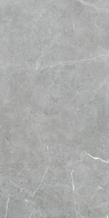 Lava Natural Grey Matte 24 x 48