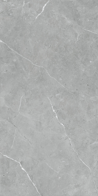 Lava Natural Grey Matte 24 x 48