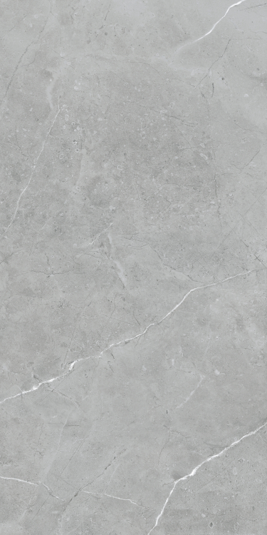 Lava Natural Grey Matte 24 x 48
