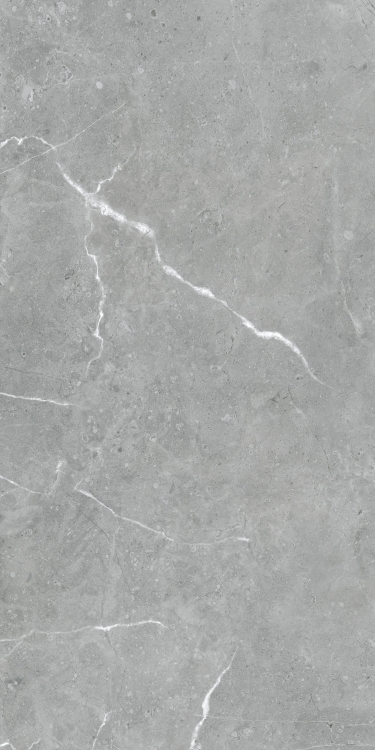 Lava Natural Grey Matte 24 x 48