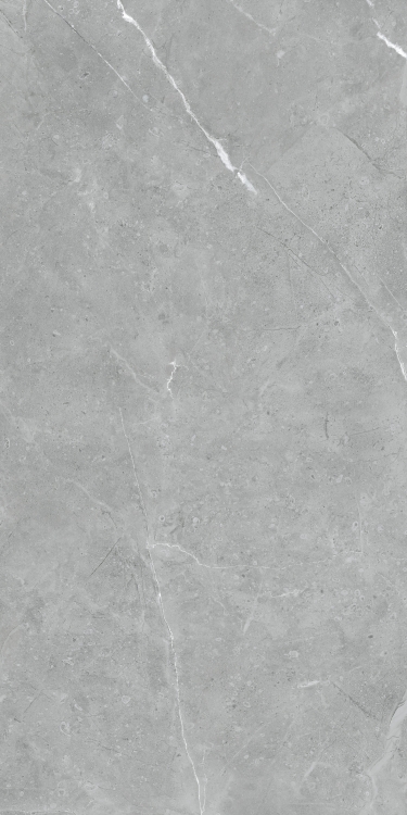 Lava Natural Grey Matte 24 x 48