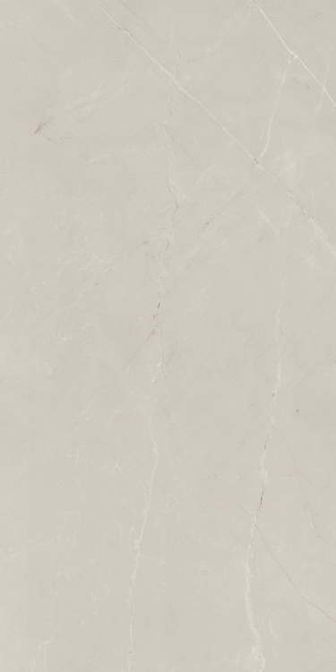 Gemme Breccia Cenere Lux 24 x 48