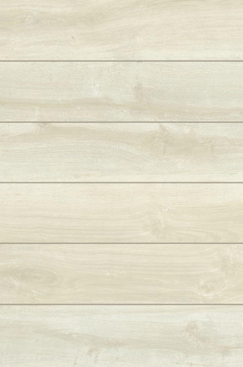 Urban Wood White Birch 6 x 36