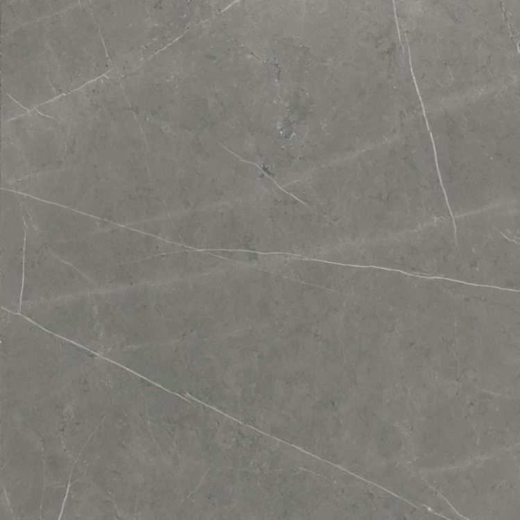 Malaysia Mount Tobacco Polished 24 x 24