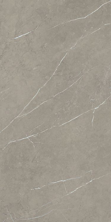 Malaysia Mount Grey Matte 24 x 48