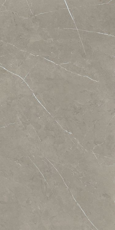 Malaysia Mount Grey Matte 24 x 48