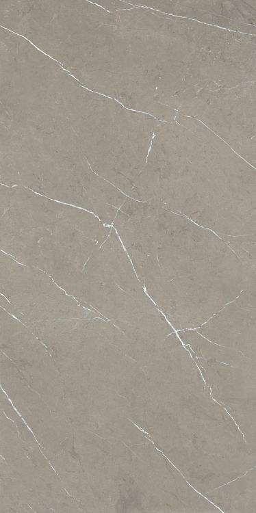 Malaysia Mount Grey Matte 24 x 48