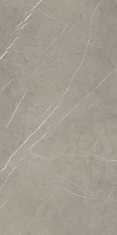 Malaysia Mount Grey Matte 24 x 48
