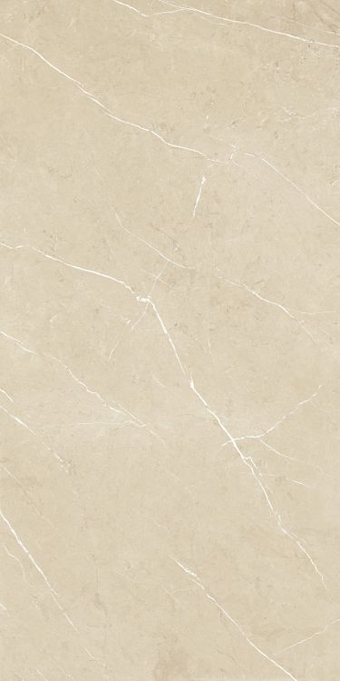 Malaysia Mount Cream Matte 24 x 48