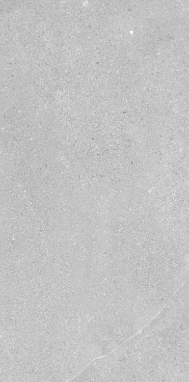 Madison Argent 12 x 24 Madison Argent 12 x 24