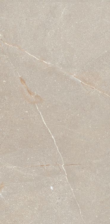 Madison Bone 12 x 24