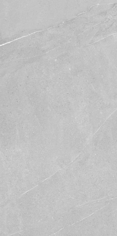 Madison Argent 24 x 48