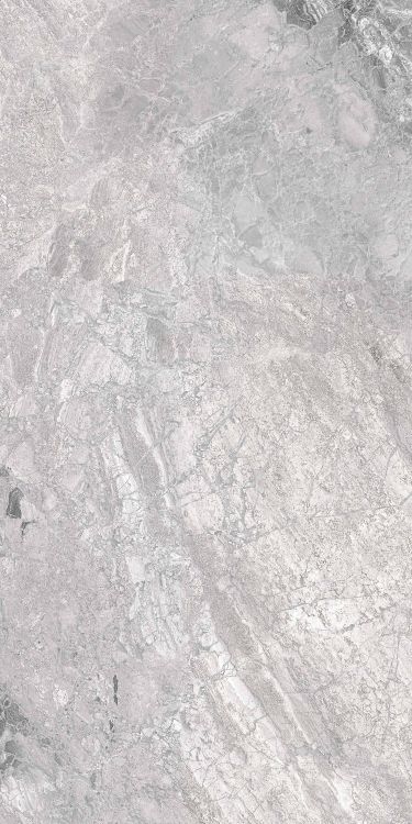Supreme Silver Naturale (RET) 12 x 24