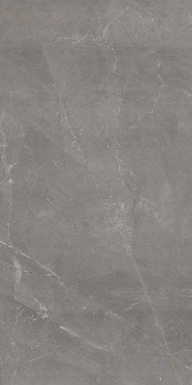 Tekali Gris Polished 24 x 48