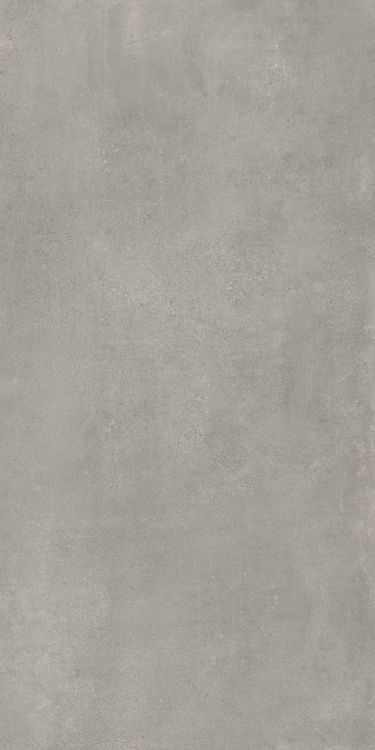 Absolute Cement Grey 24 x 48