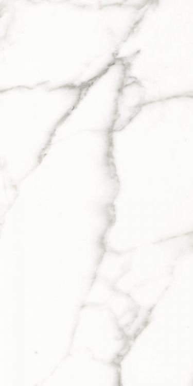 Trilogy Calacatta White Soft 12 x 24