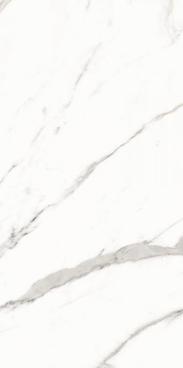 Trilogy Calacatta White Soft 12 x 24